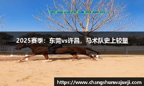 2025赛季：东莞vs许昌，马术队史上较量