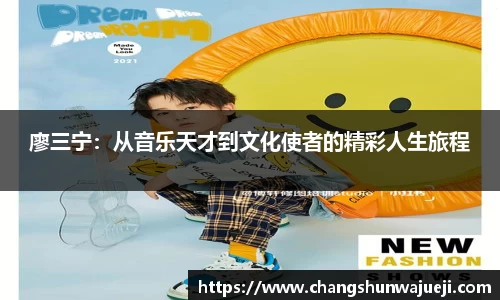 快盈VIII